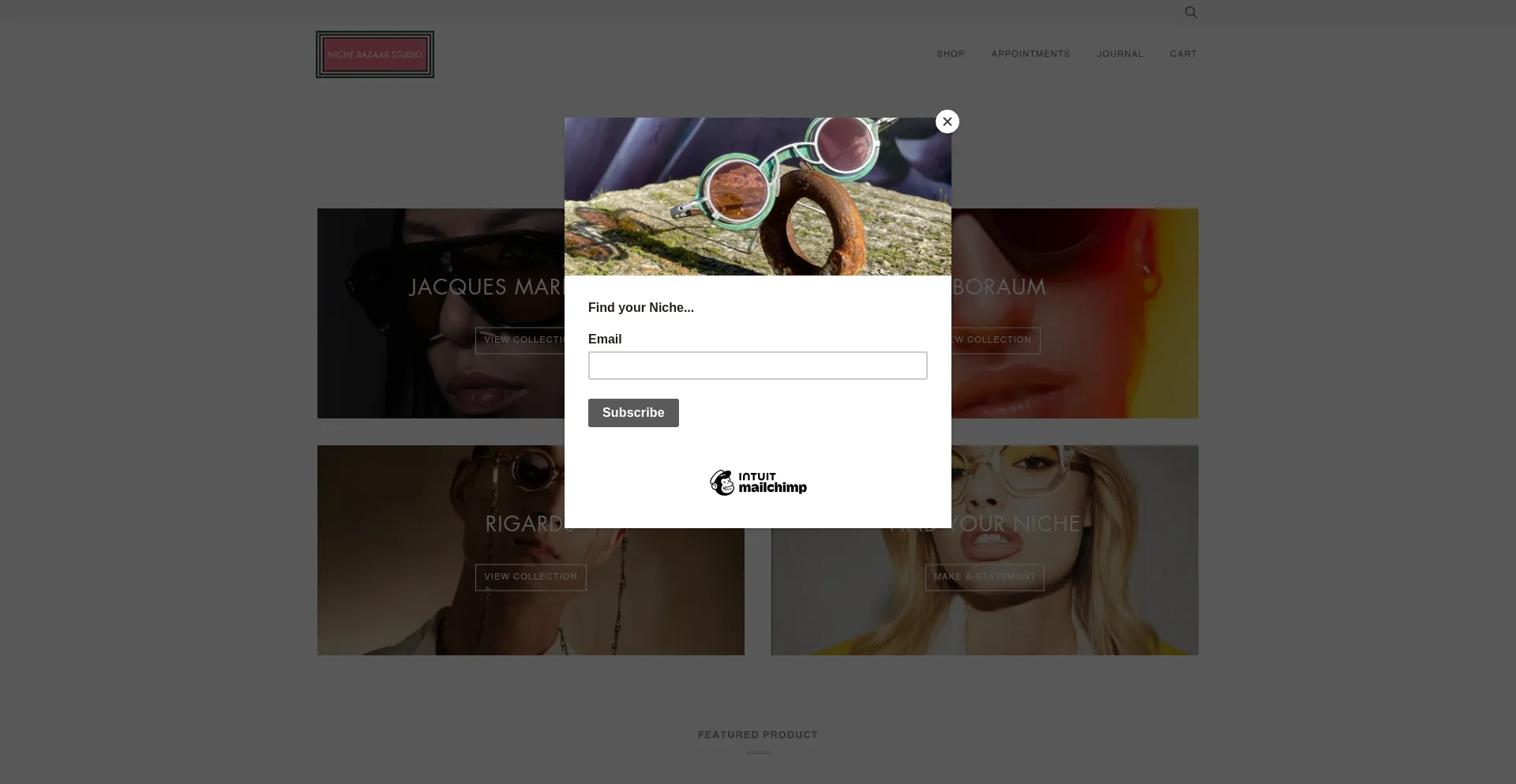 Website screenshot of Nichebazaarstudio.com