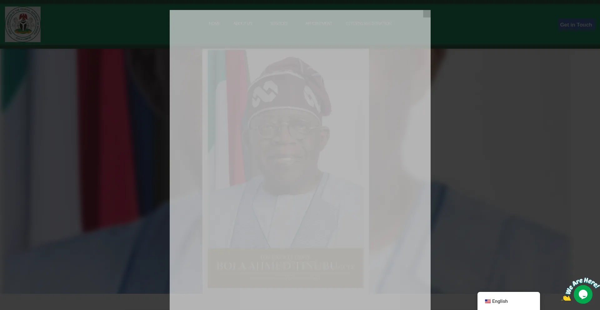 Website screenshot of Nigeria.org.my