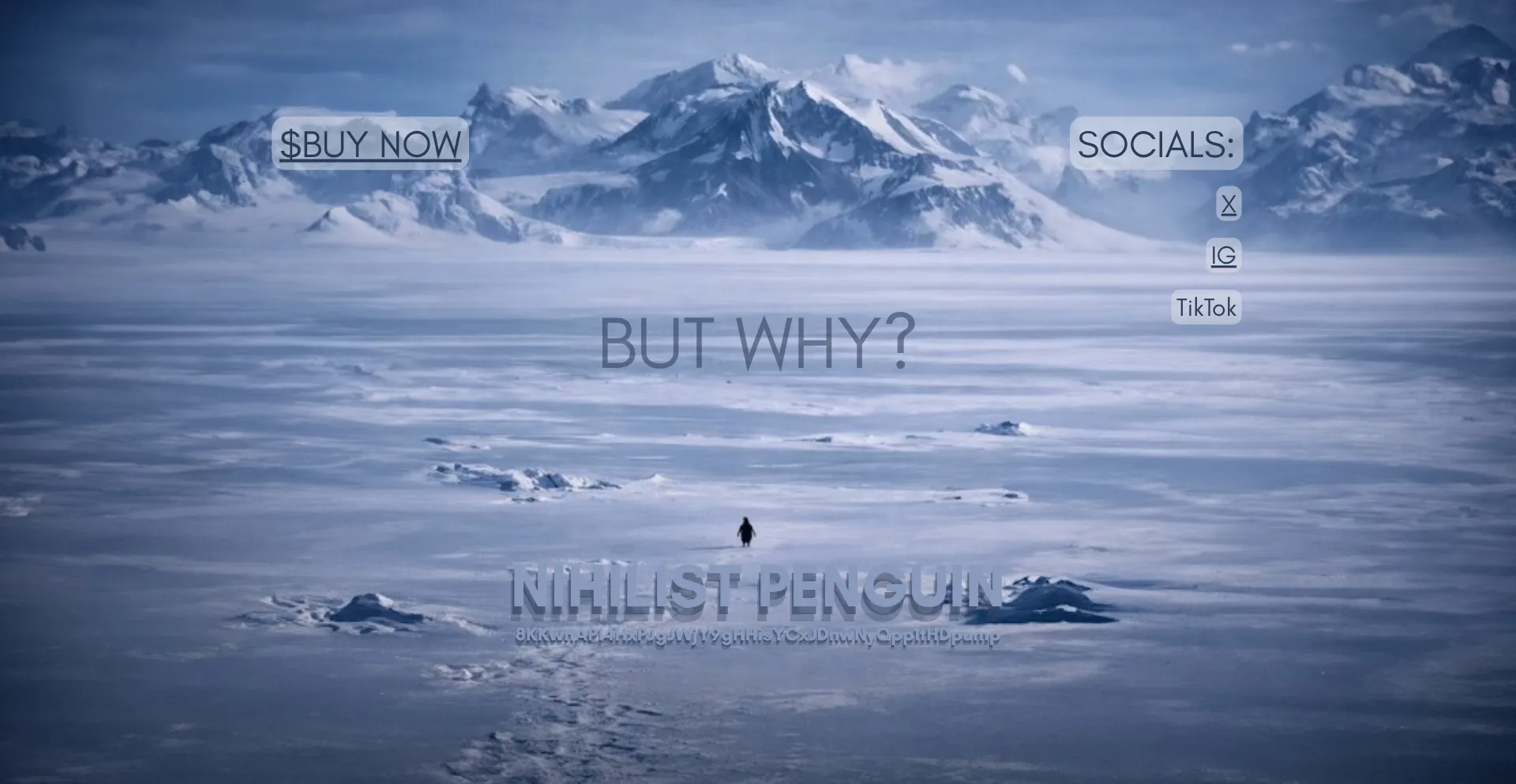 Nihilist-penguin-coin.my.canva.site