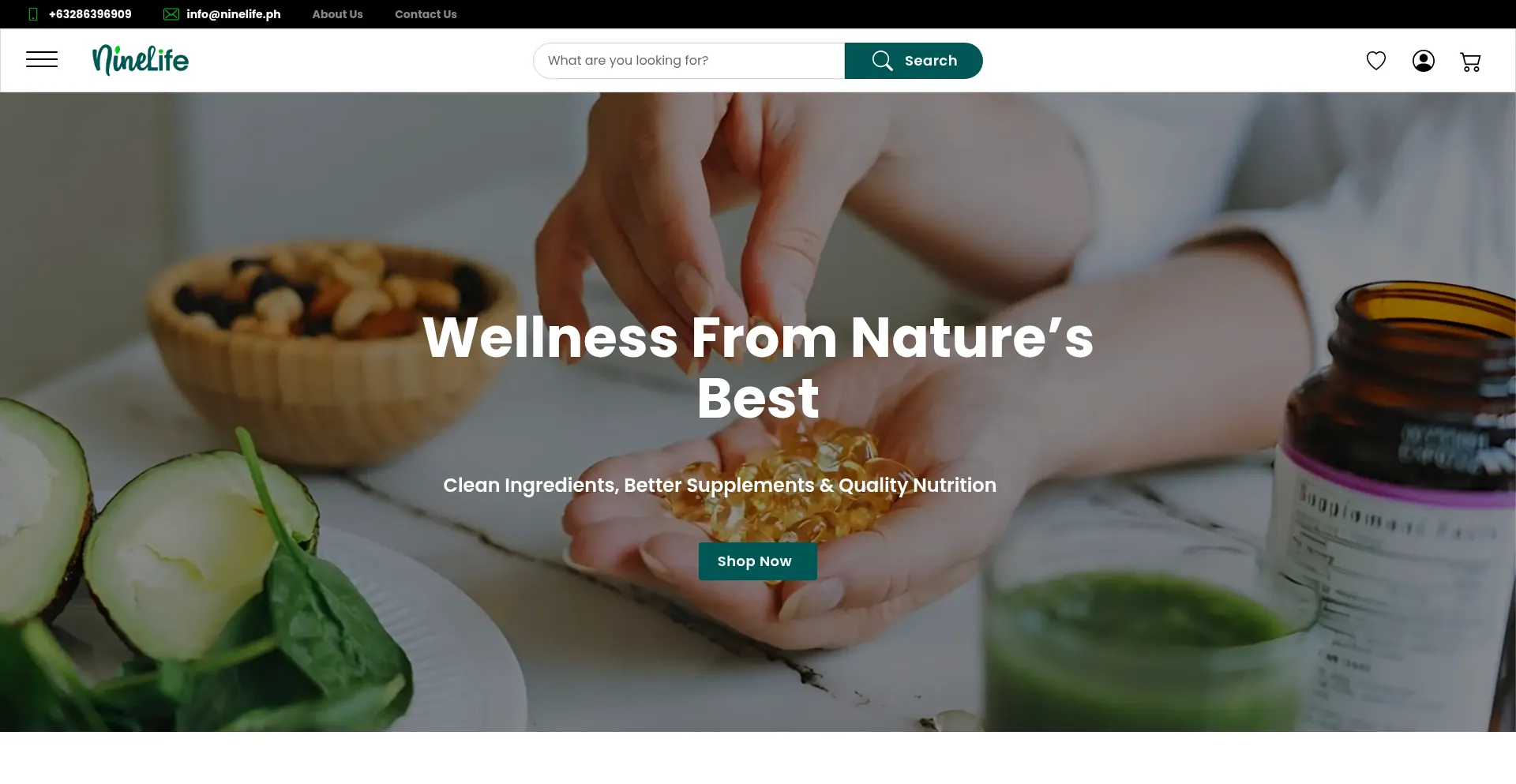 Website screenshot of Ninelife.ph