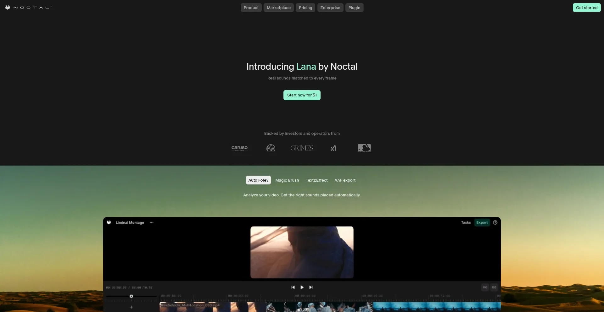 Noctal.xyz
