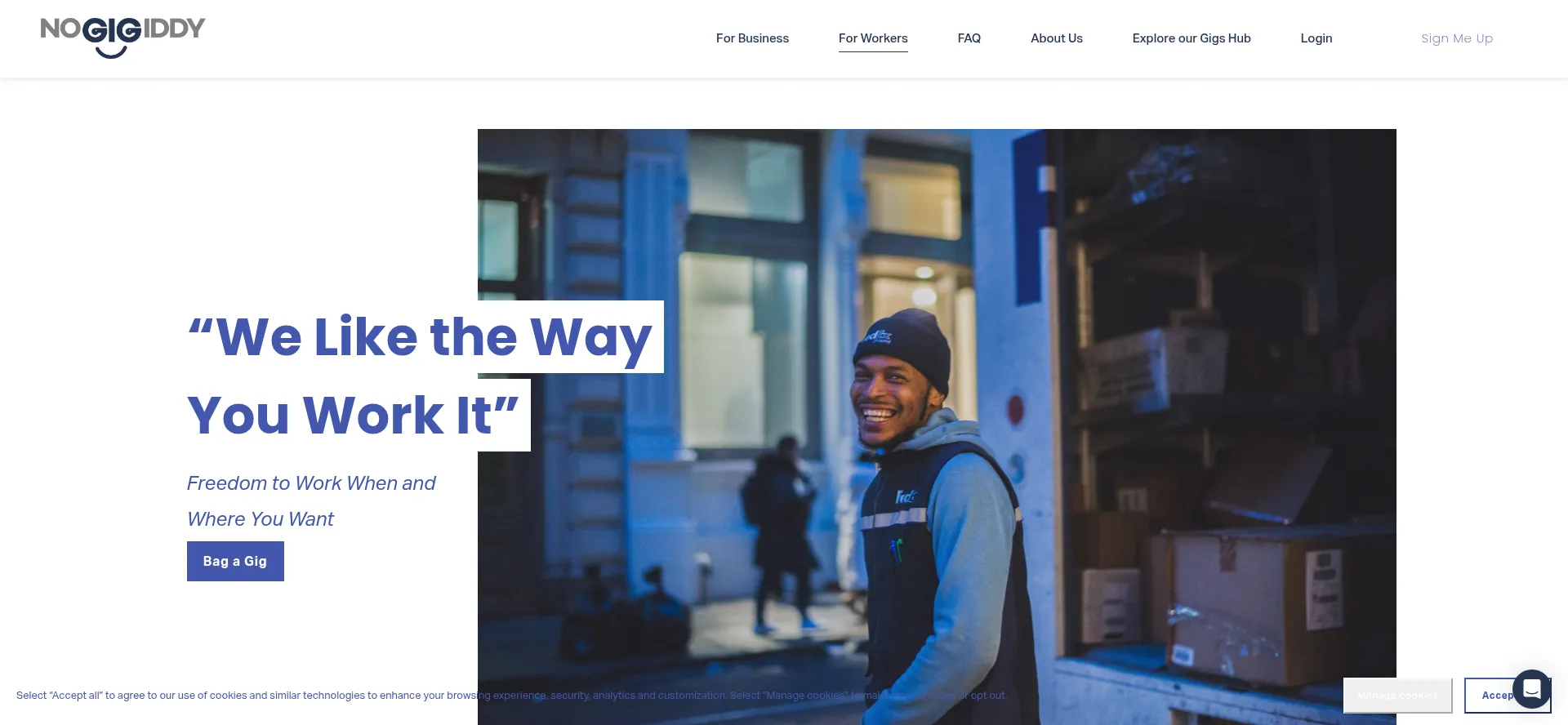 Website screenshot of Nogigiddy.com