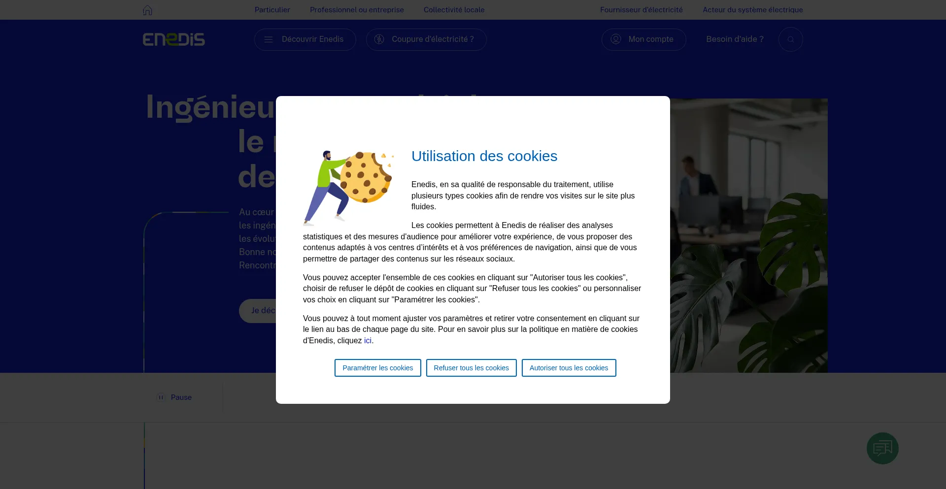 Notifnow-enedis.fr