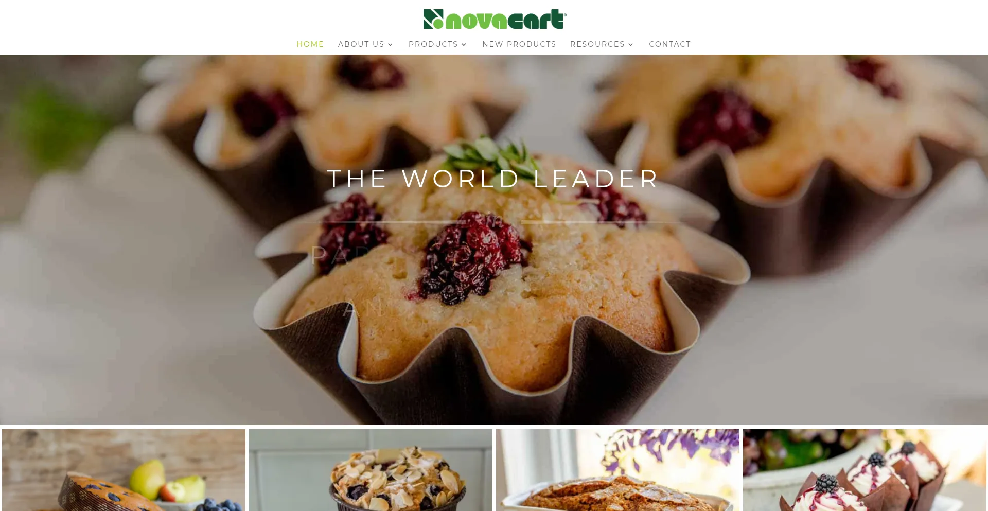 Website screenshot of Novacartusa.com