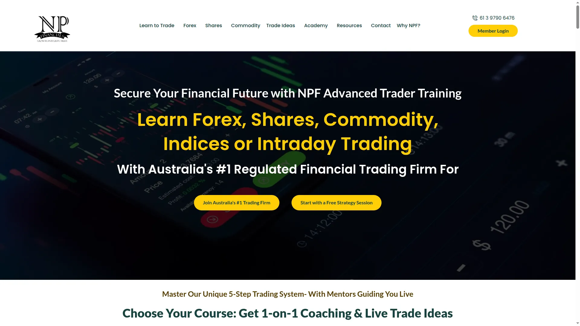 Npfinancials.com.au