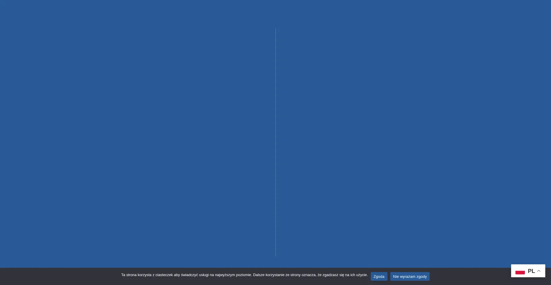 Nsss.com.pl Screenshot