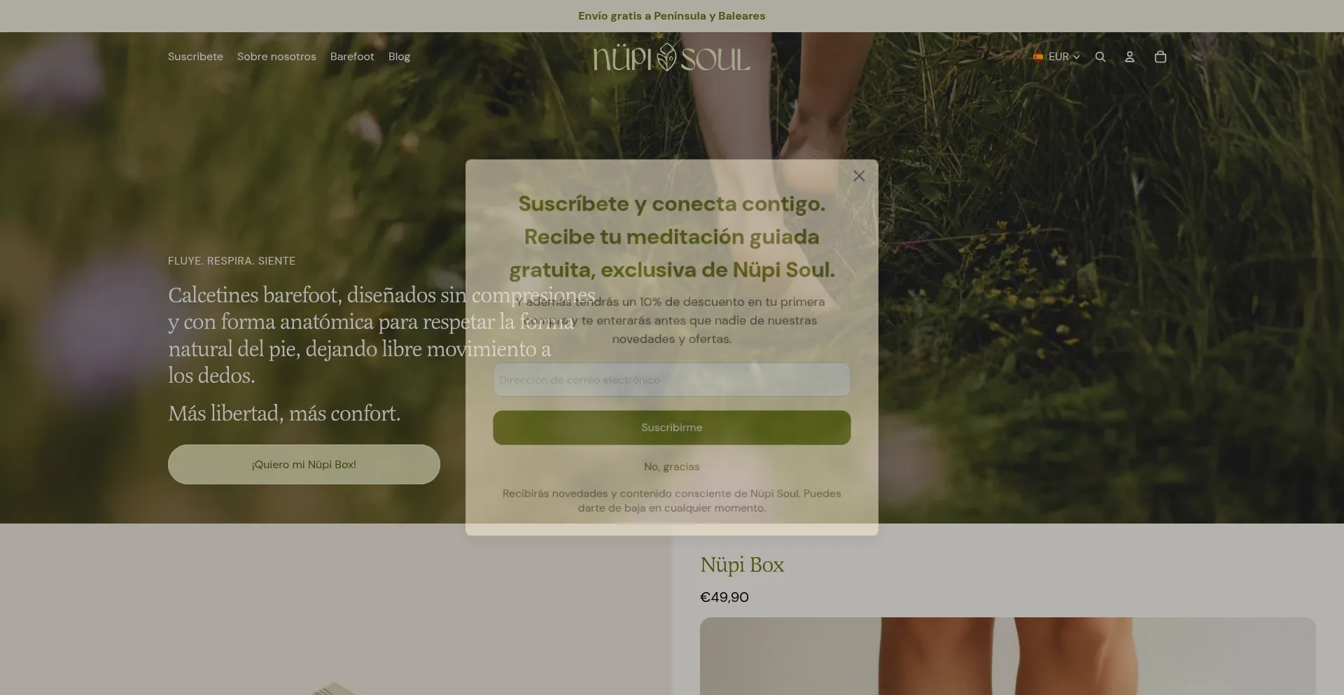 Nupisoul.com
