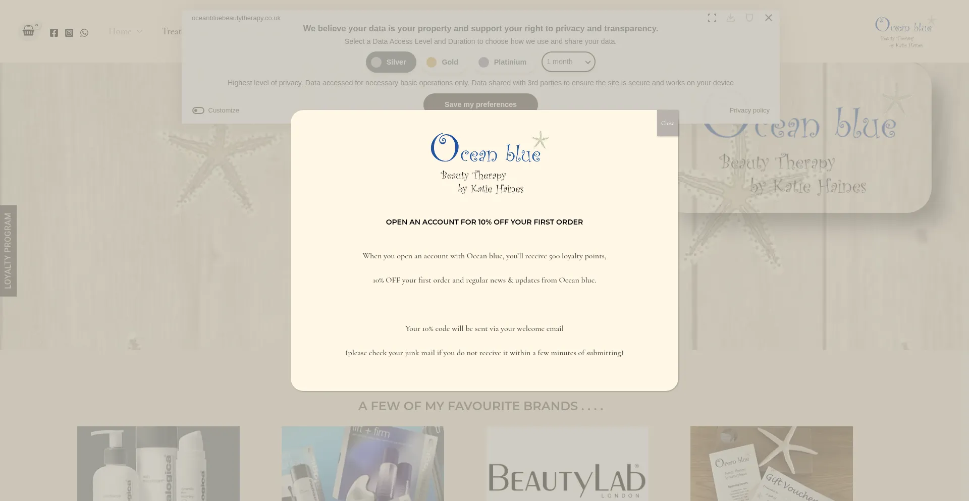 Website screenshot of Oceanbluebeautytherapy.co.uk