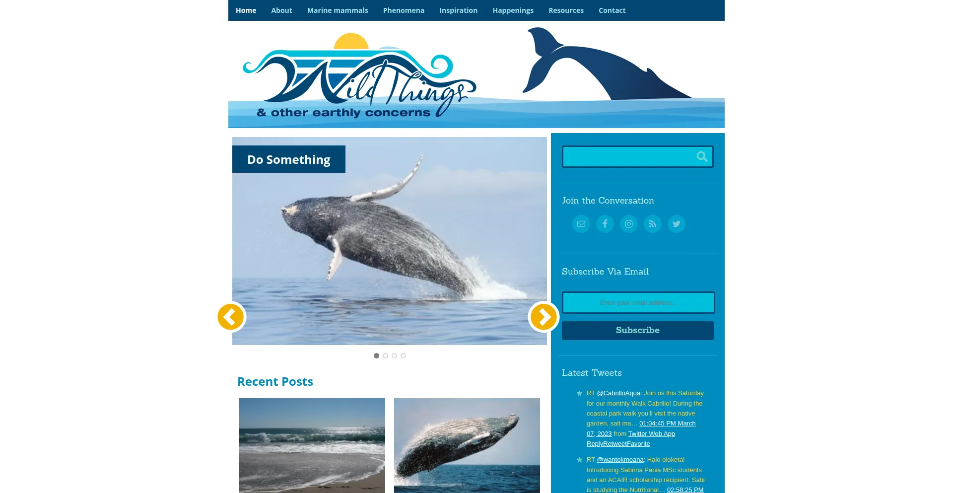 Oceanwildthings.com
