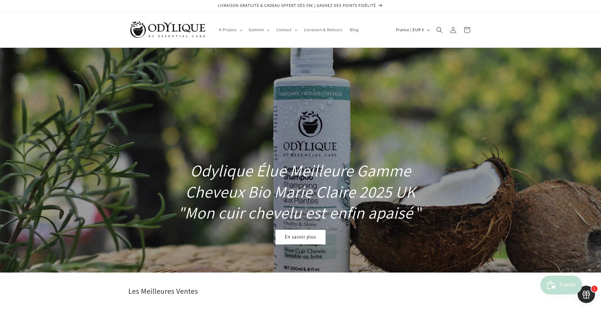 Website screenshot of Odylique.fr