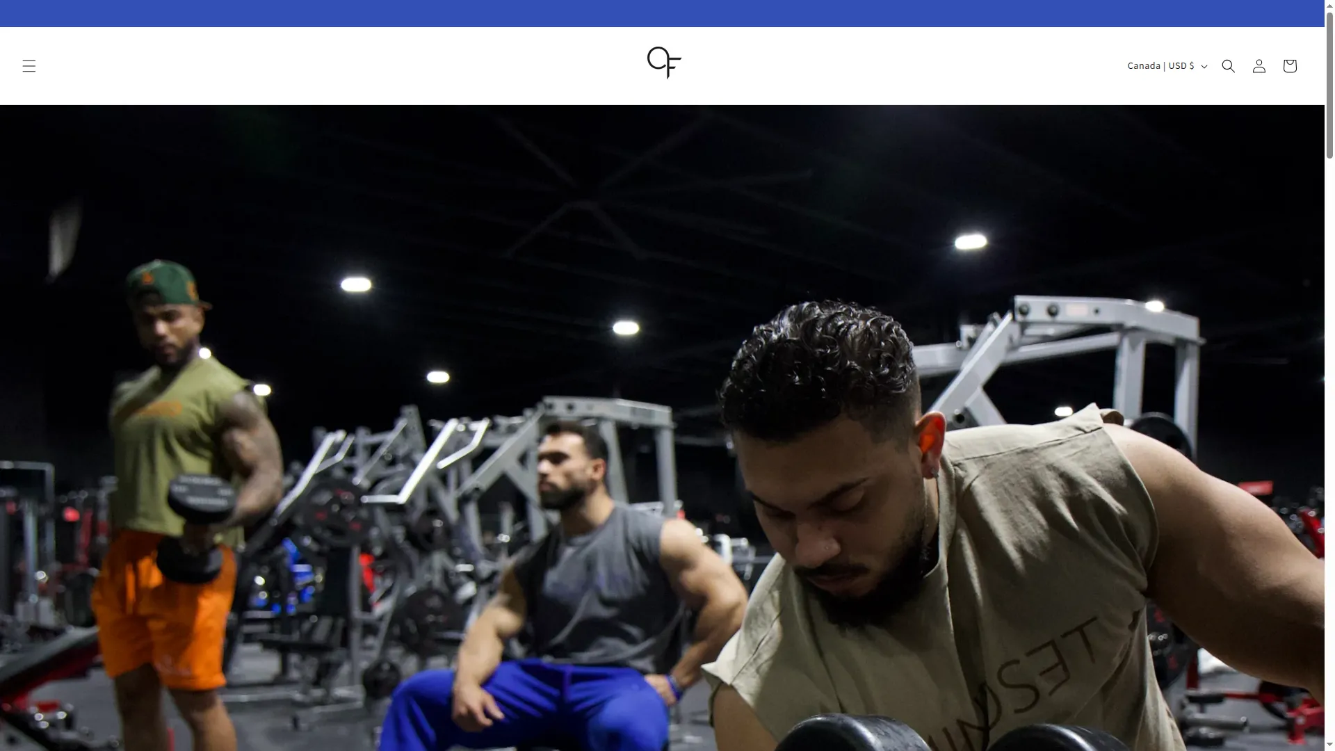 Odysseefit.com