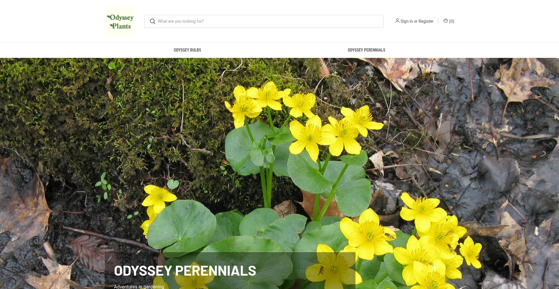 Odysseyplants.com