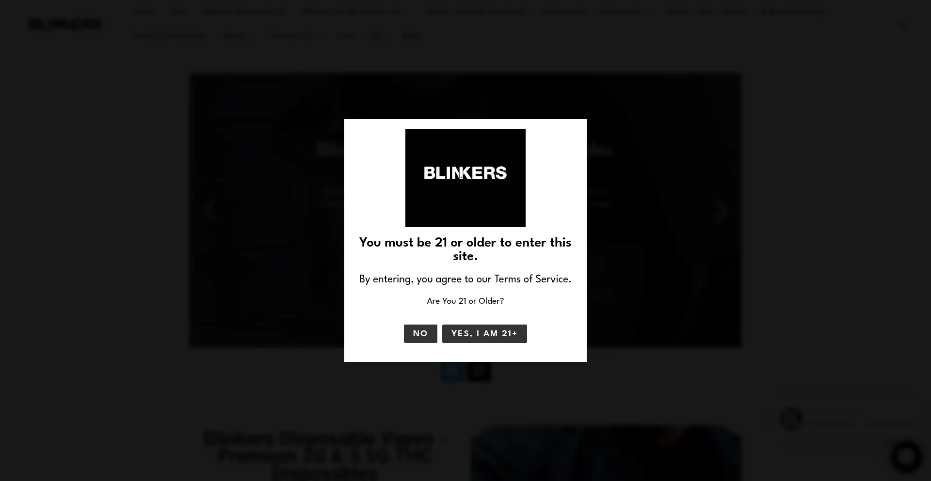 Officialblinkers.com