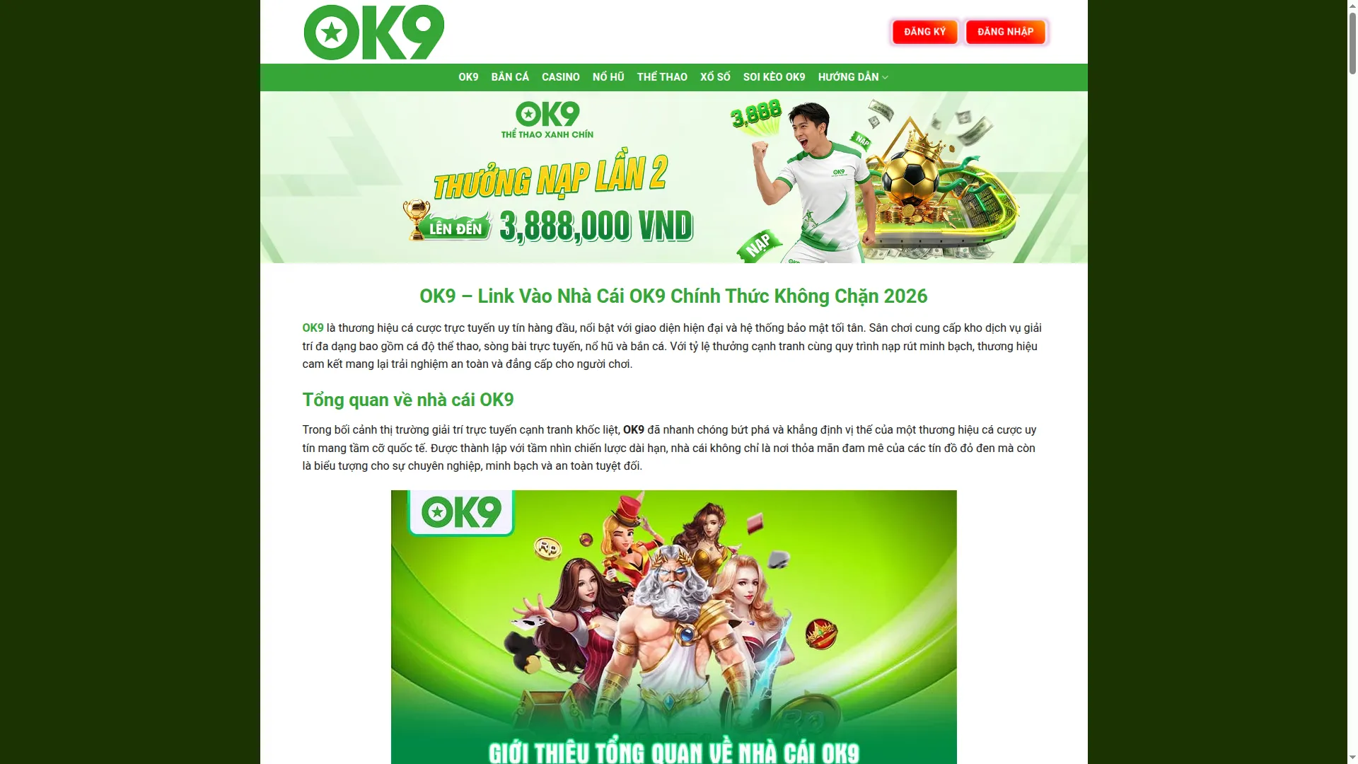 Ok9.promo
