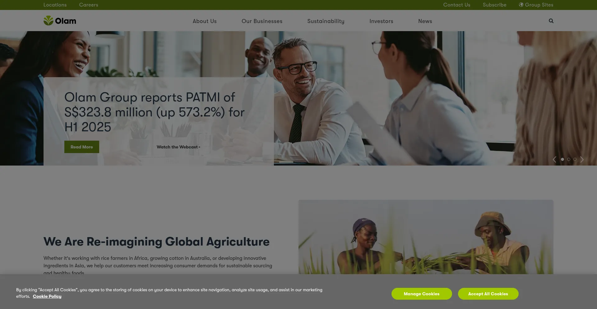 Olamgroup.com é Seguro e Confiável?
