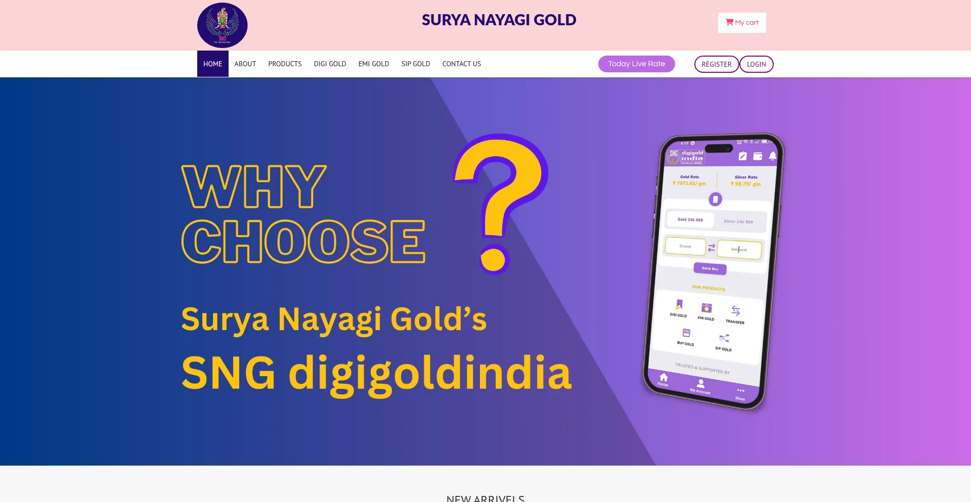Website screenshot of Onlinesng.com