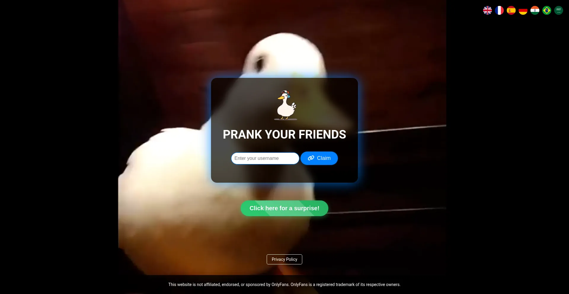 Website screenshot of Only-fans.me