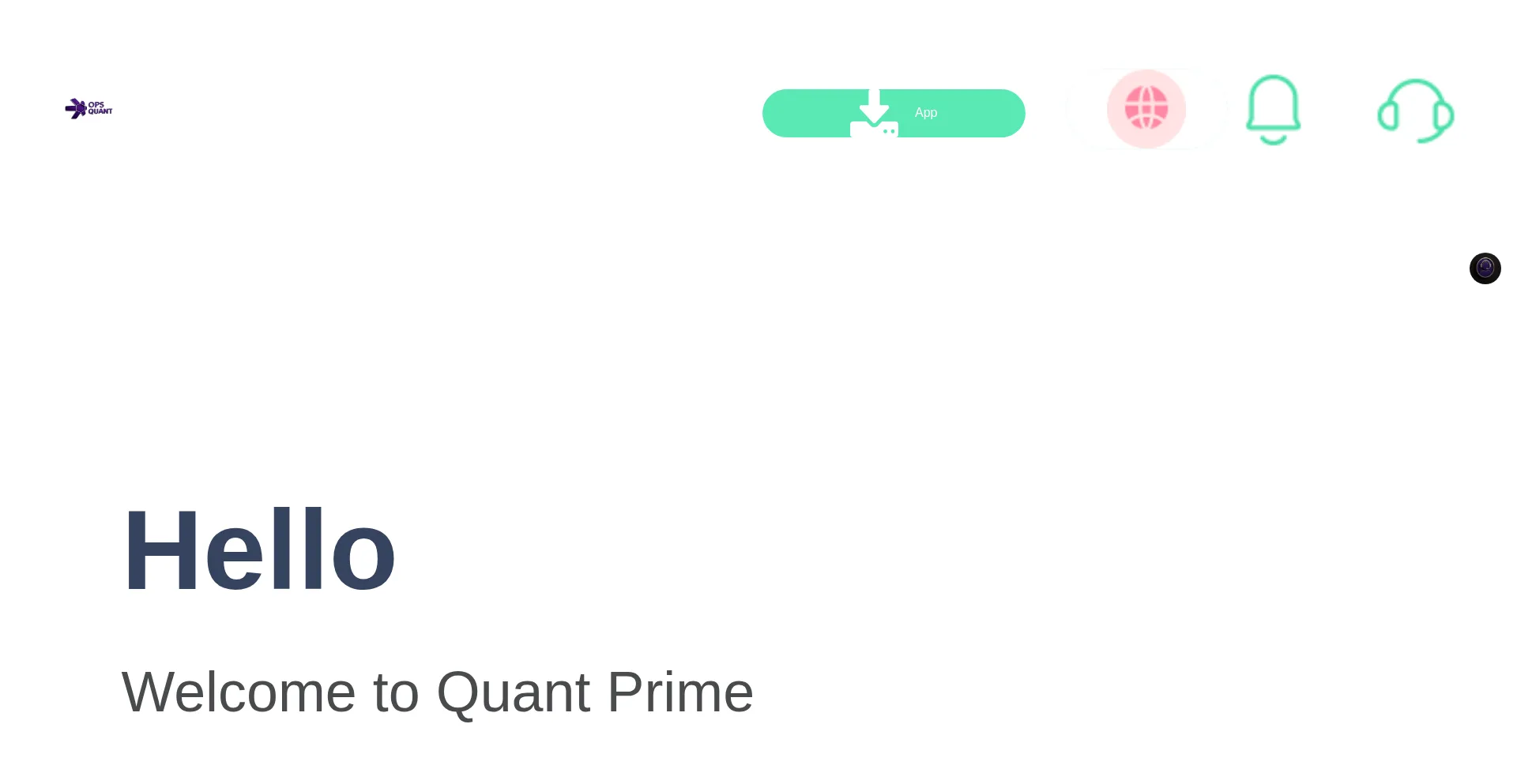 Website screenshot of Opsquant.lat