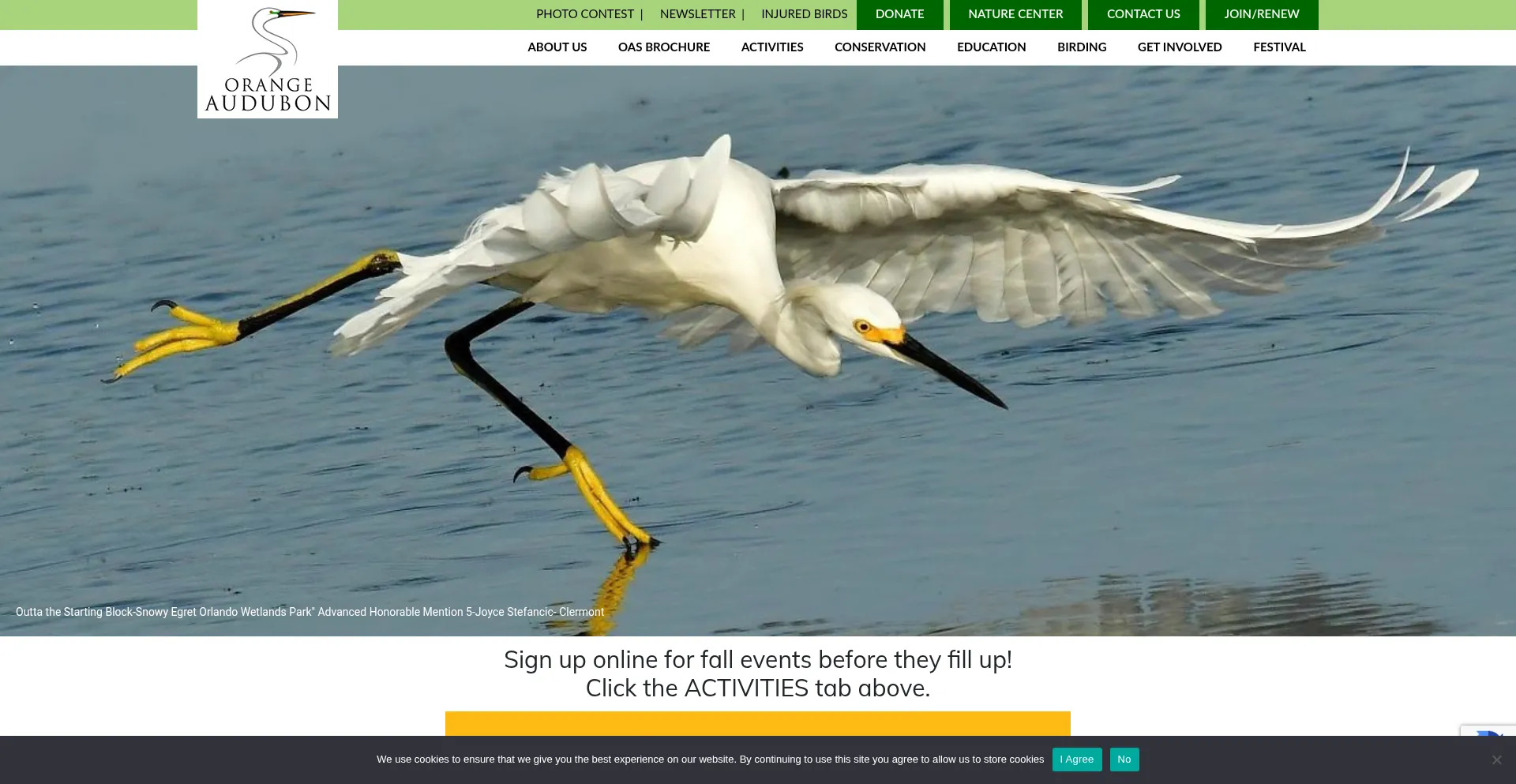 Orangeaudubonfl.org Screenshot