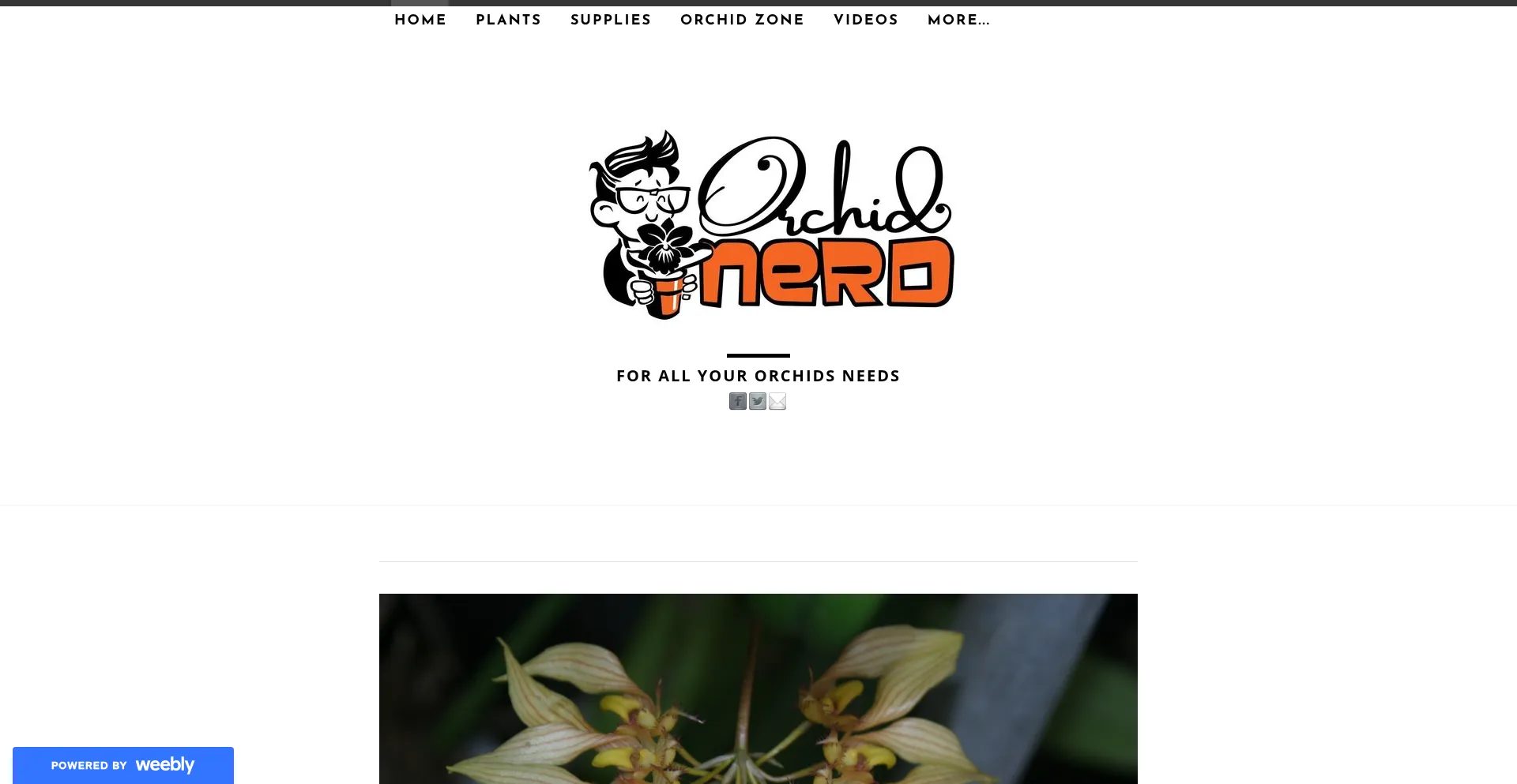 Website screenshot of Orchidnerd.com