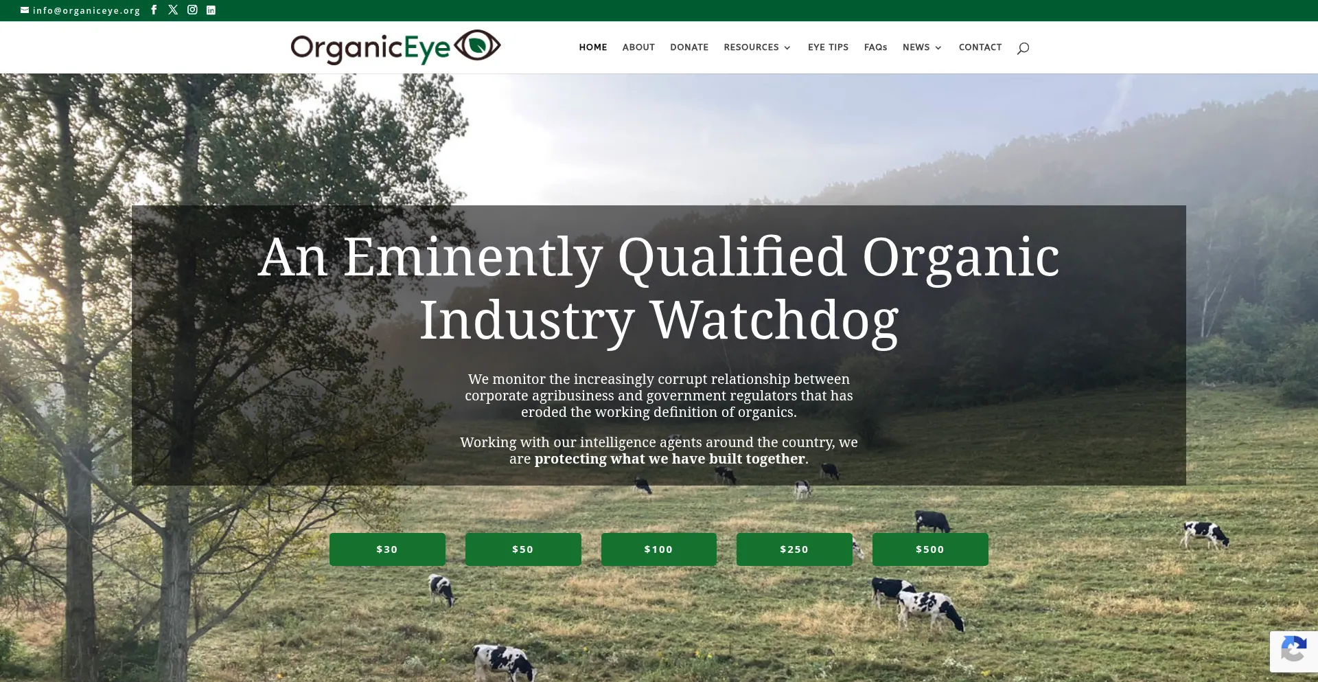 Organiceye.org