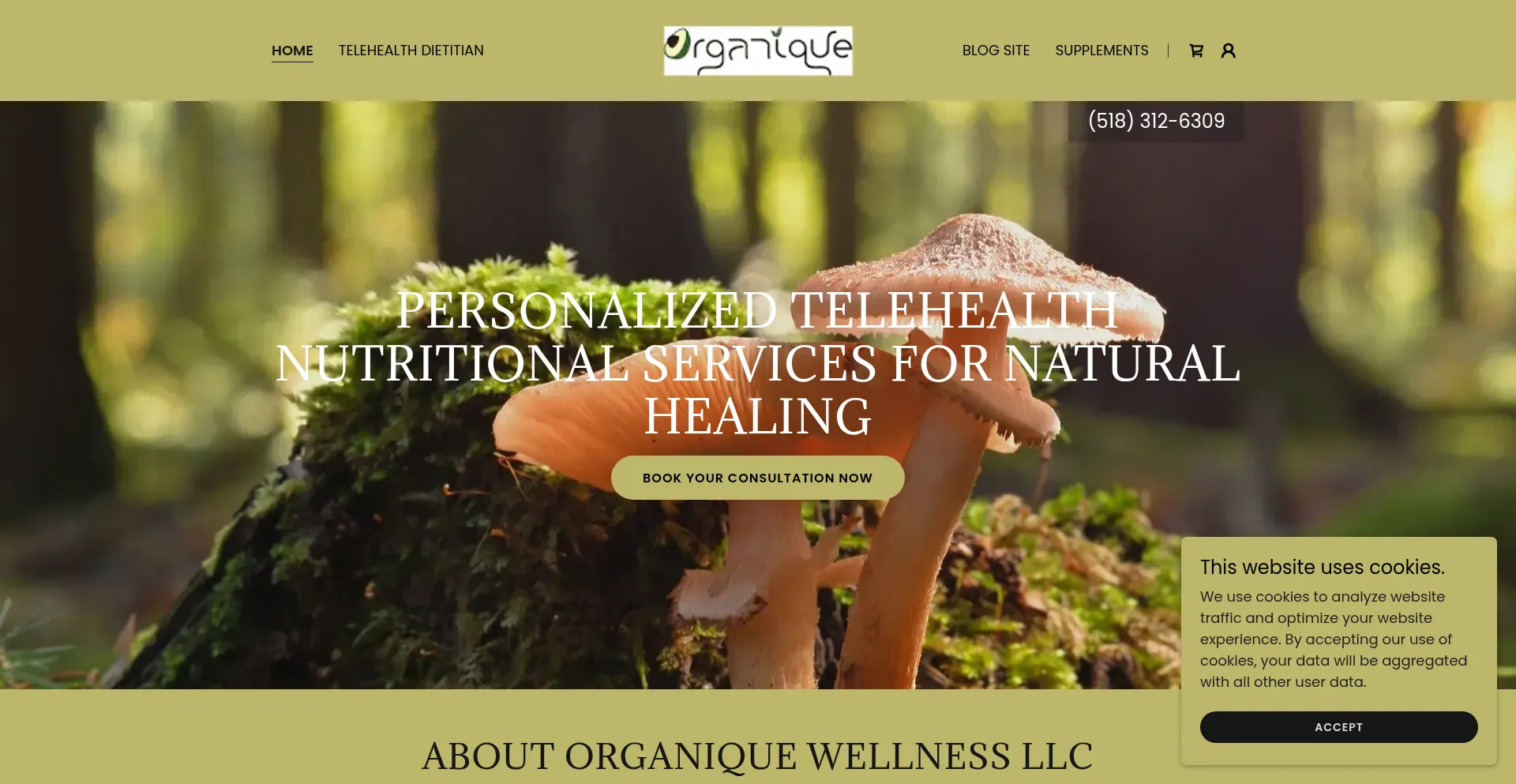 Website screenshot of Organiquebymonique.com