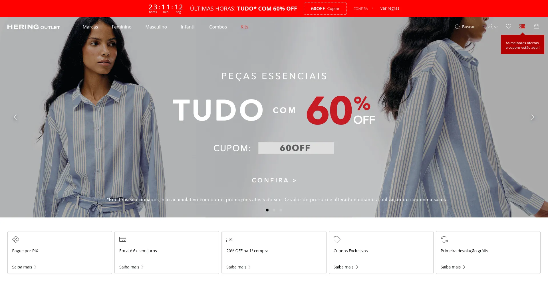 Website screenshot of Outletespacociahering.com.br