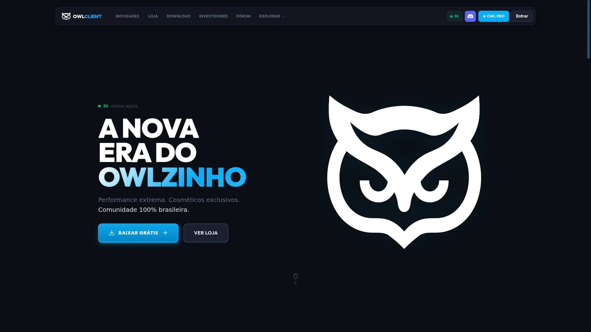 Owlclient.com.br