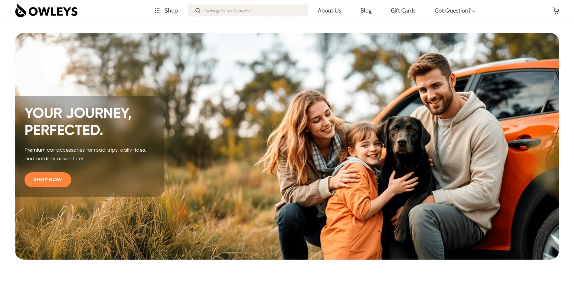 Website screenshot of Owleys.com