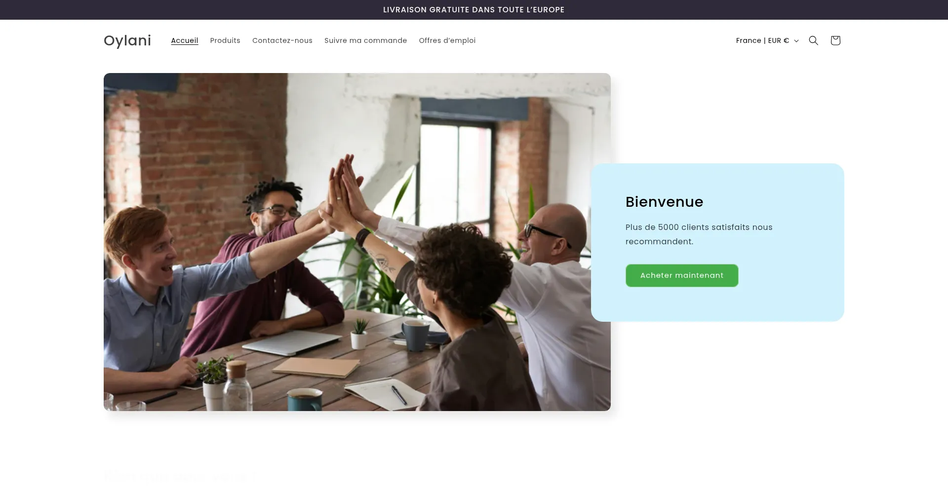Website screenshot of Oylani.com