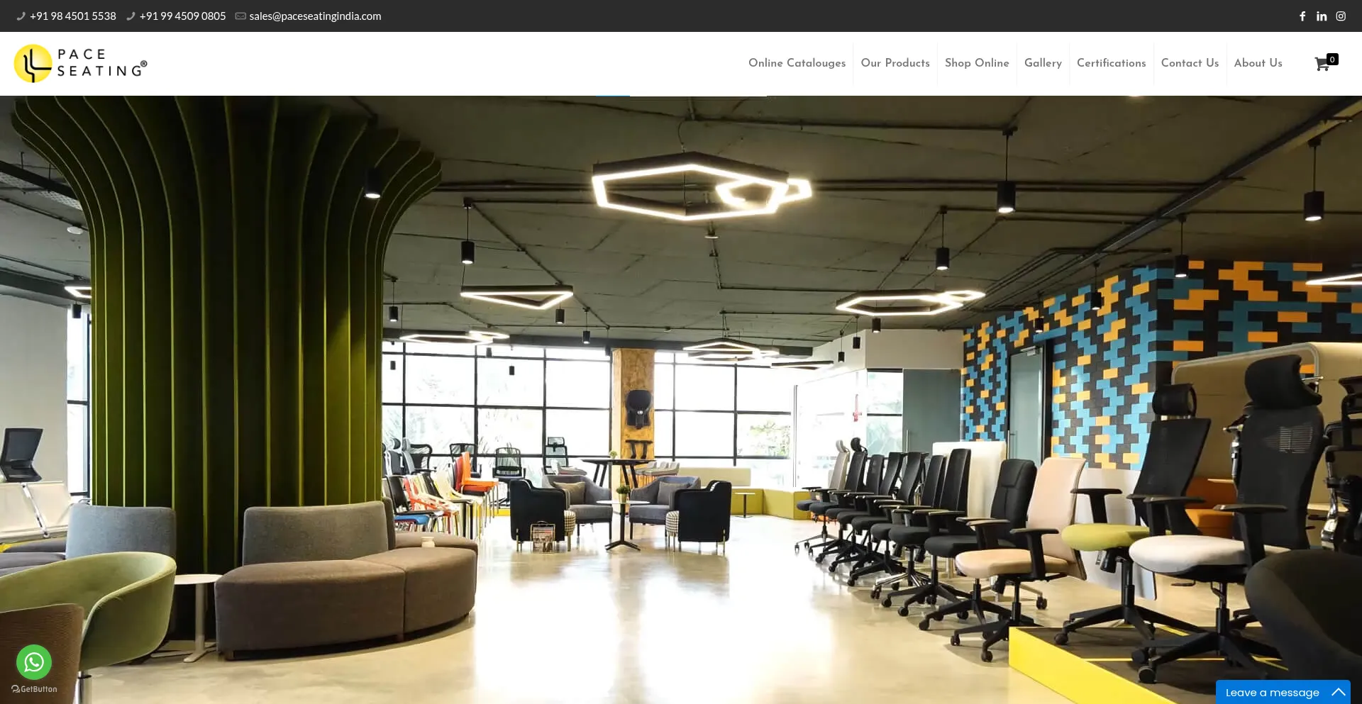 Website screenshot of Paceseatingindia.com