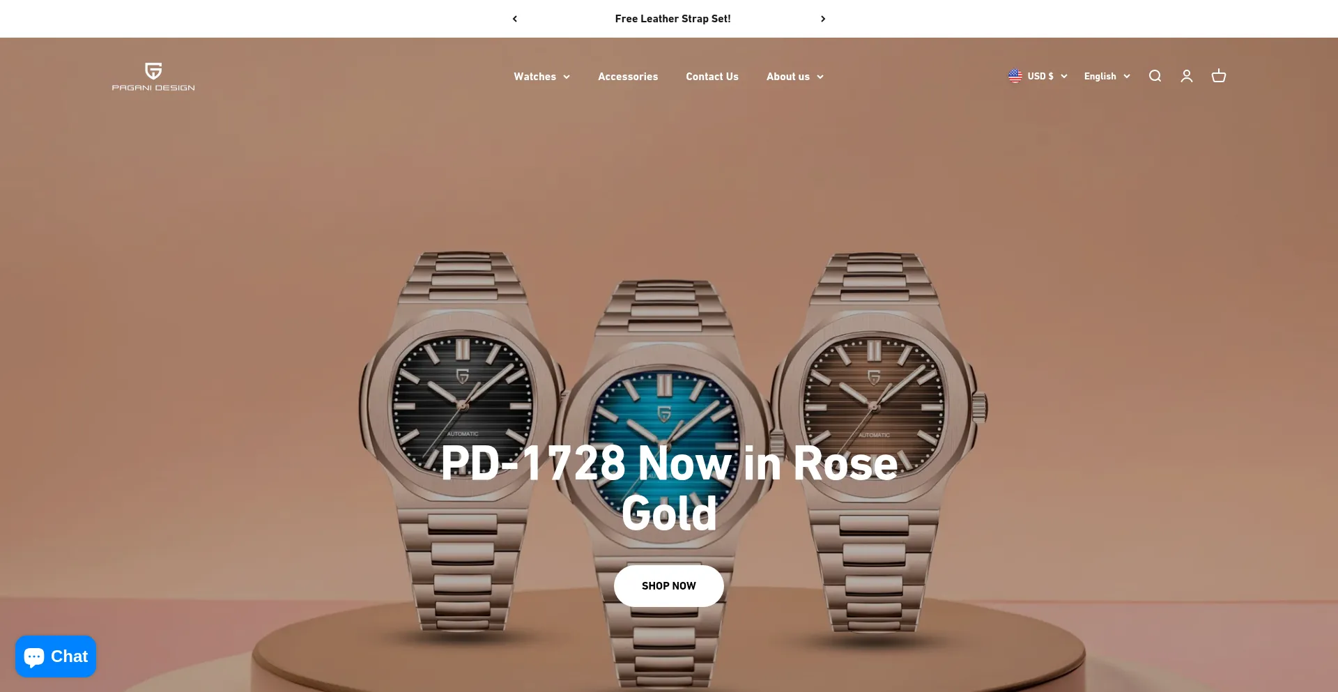 Website screenshot of Paganidesign.com