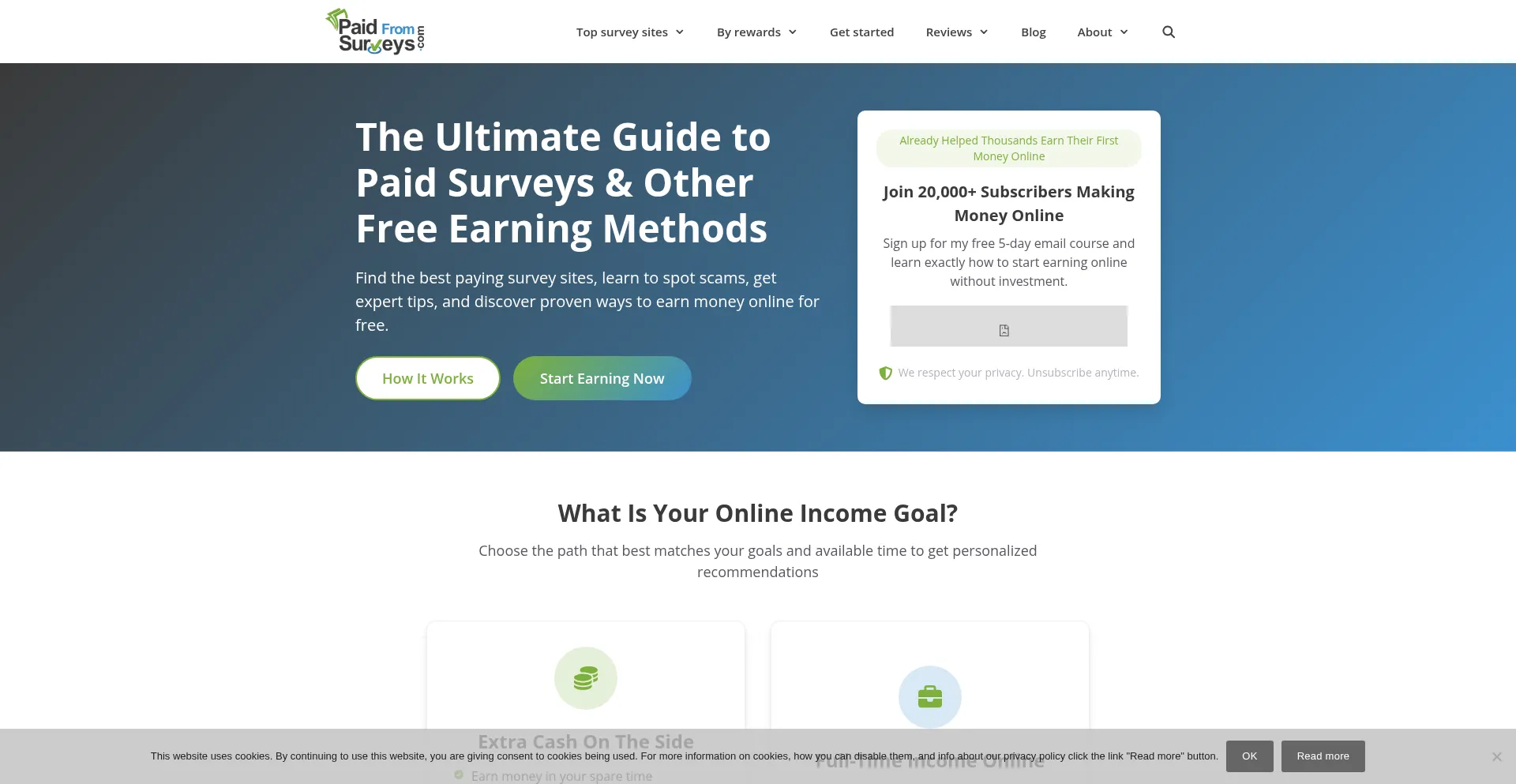 Website screenshot of Paidfromsurveys.com