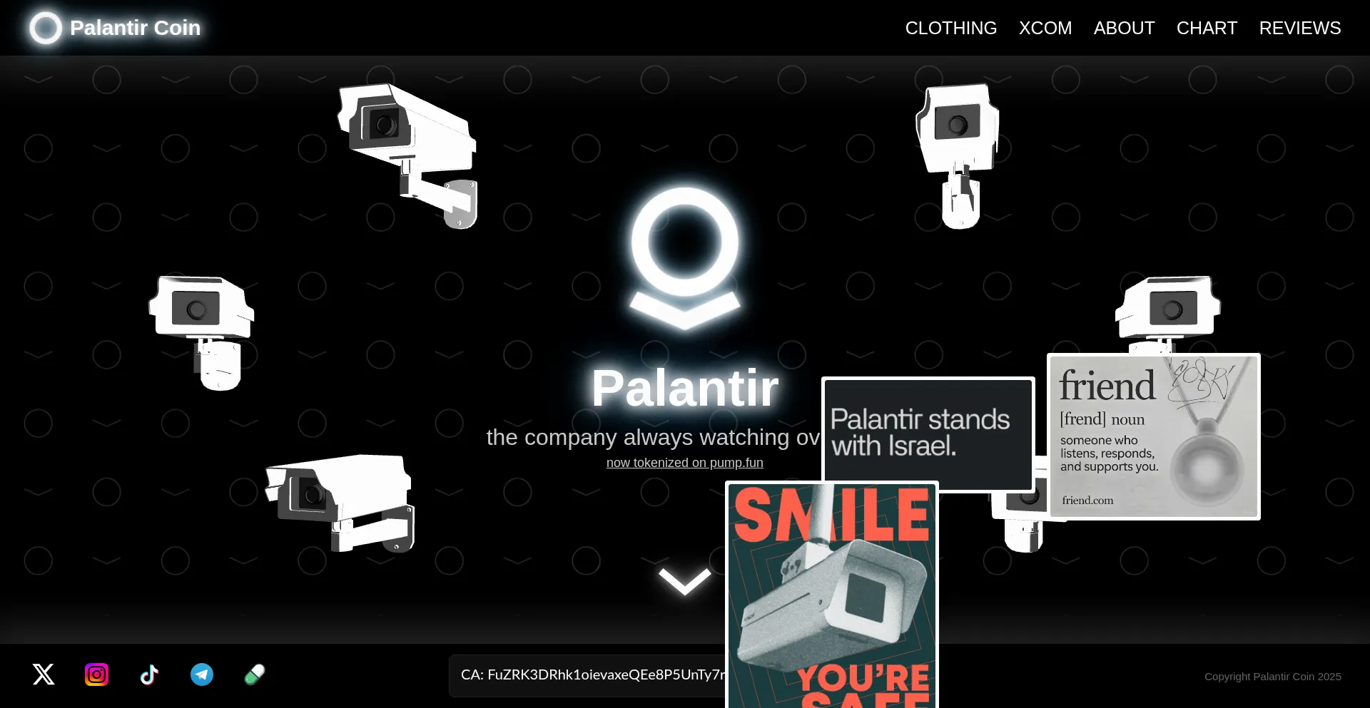 Palantir.cam