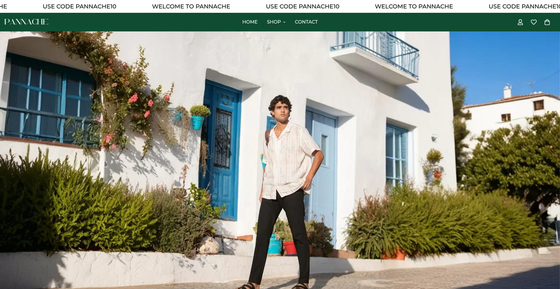 Website screenshot of Pannache.in