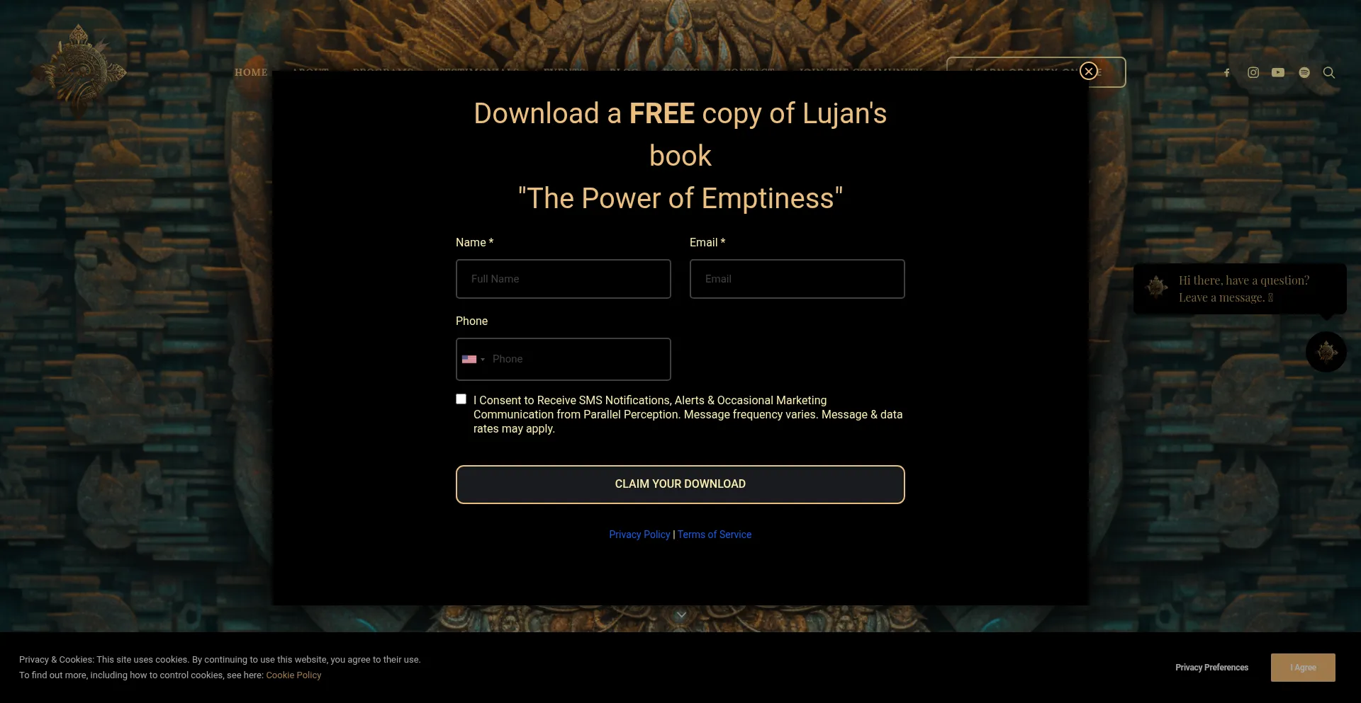 Parallelperception.com Screenshot