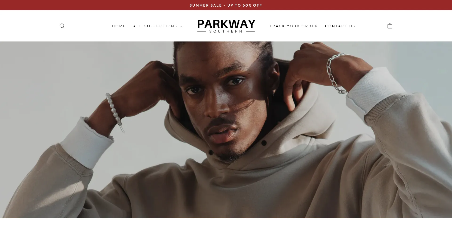 Website screenshot of Parkwaysouthern.com