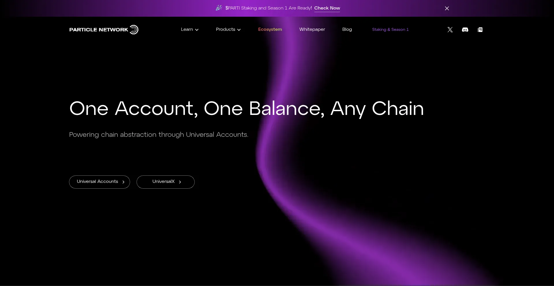 Website screenshot of Particle.network