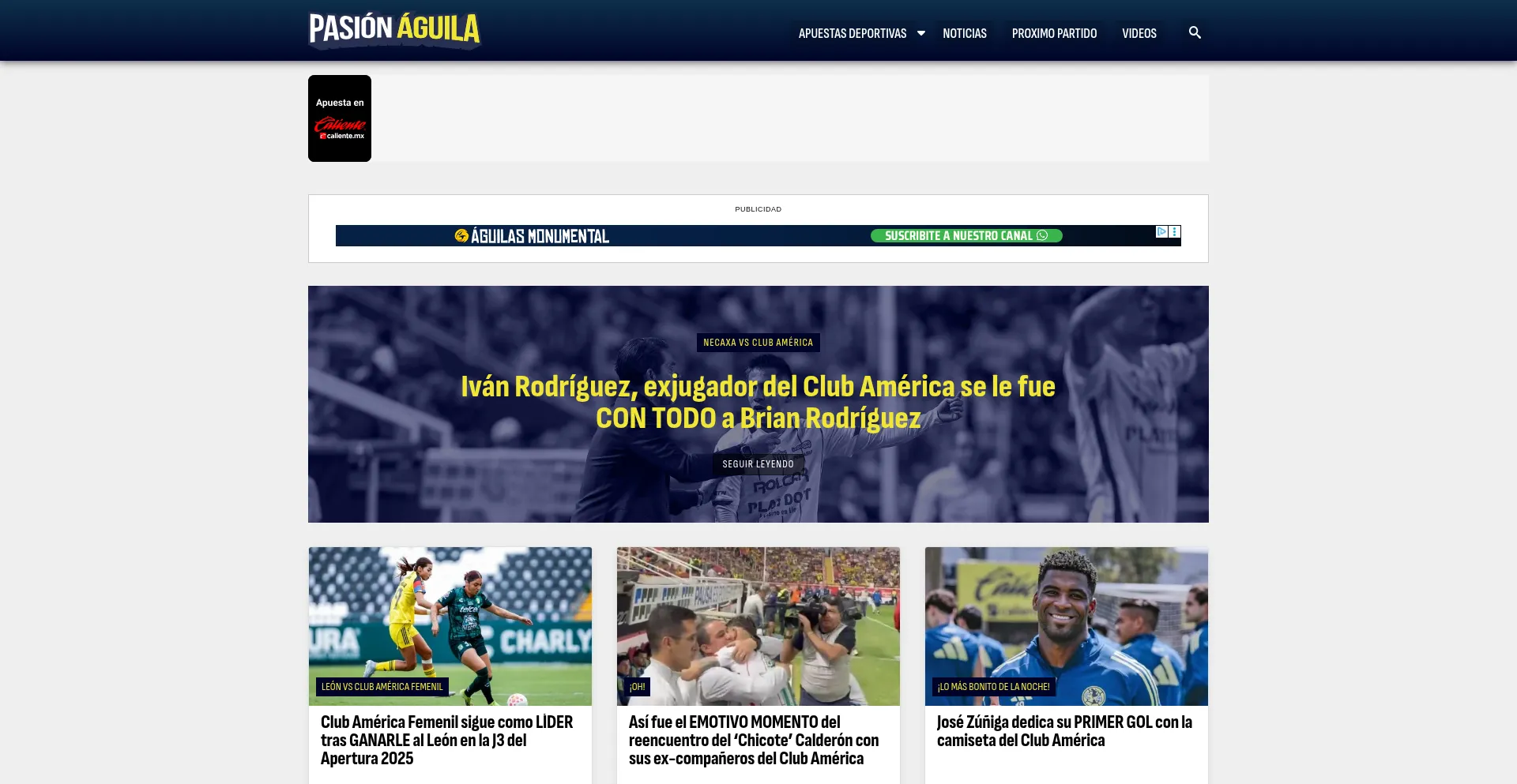 Website screenshot of Pasionaguila.com