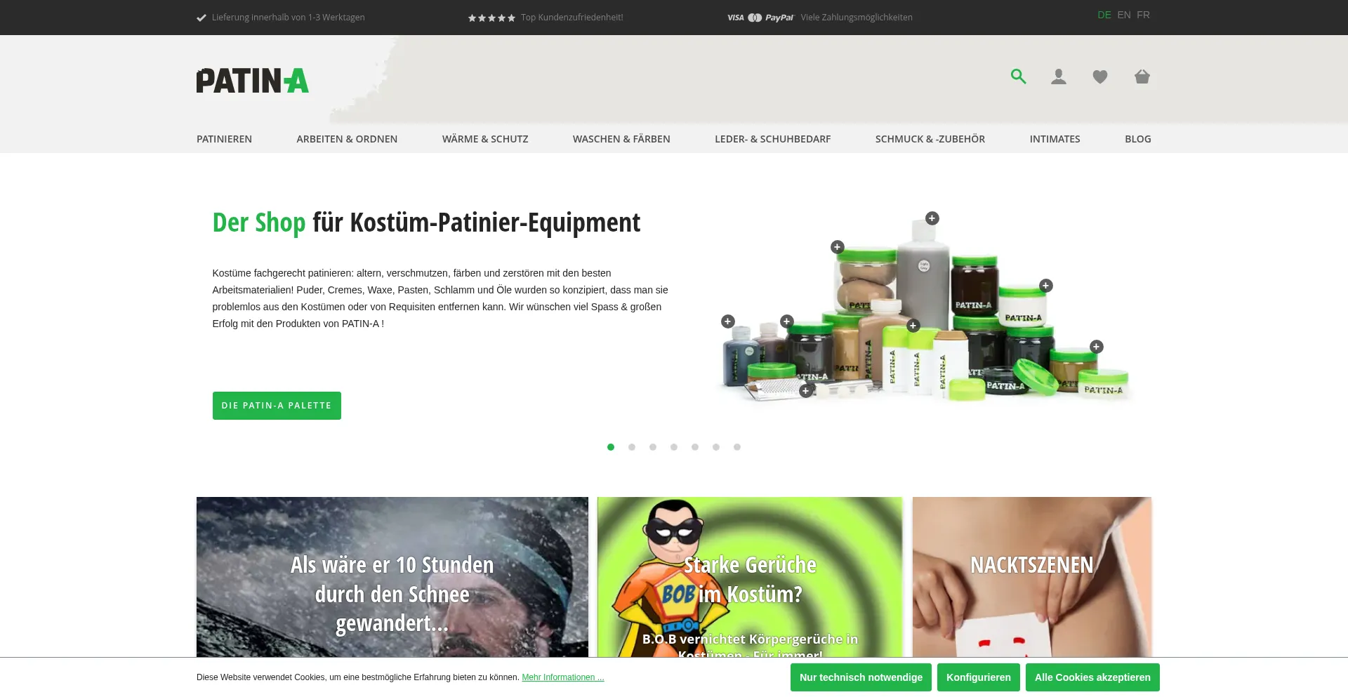 Website screenshot of Patin-a.de