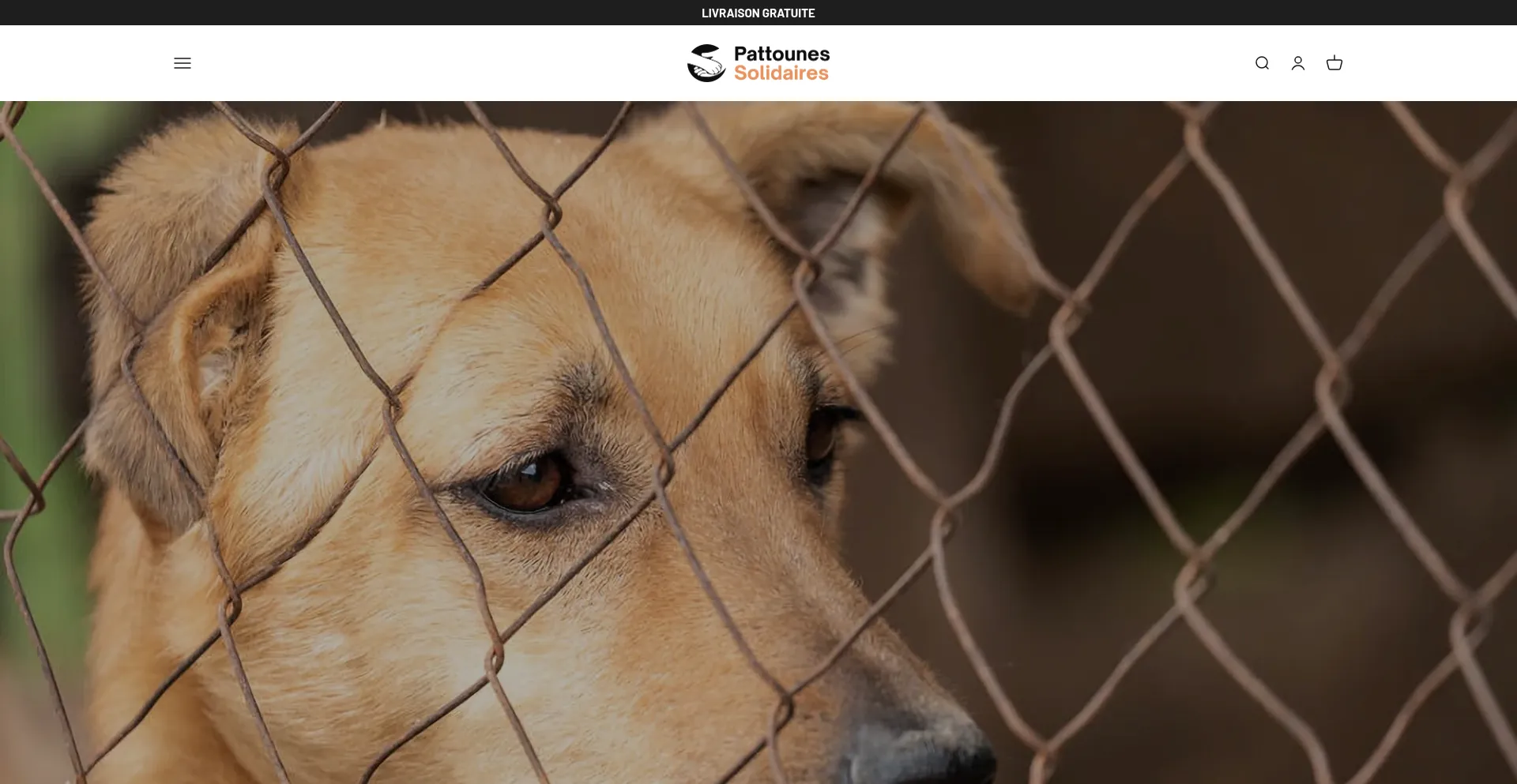 Pattounes-solidaires.com é Seguro e Confiável?