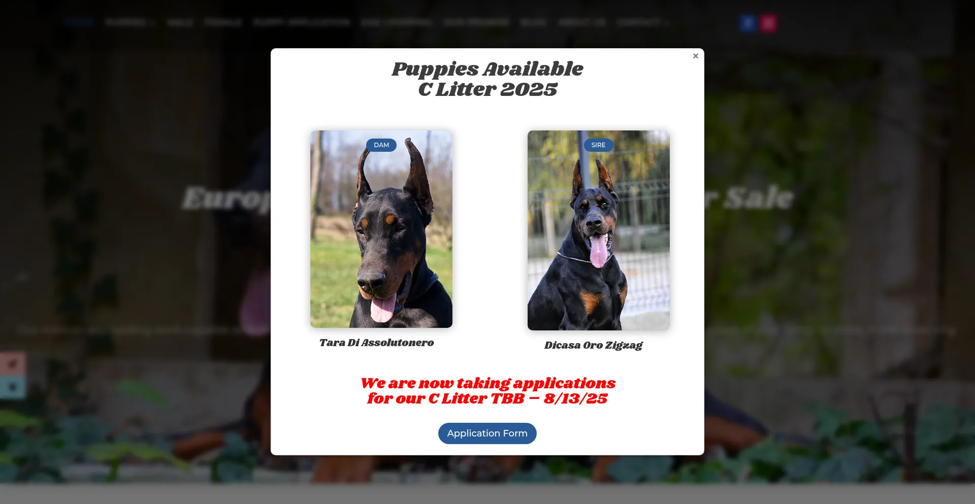 Pauldobermankennel.com é Seguro e Confiável?