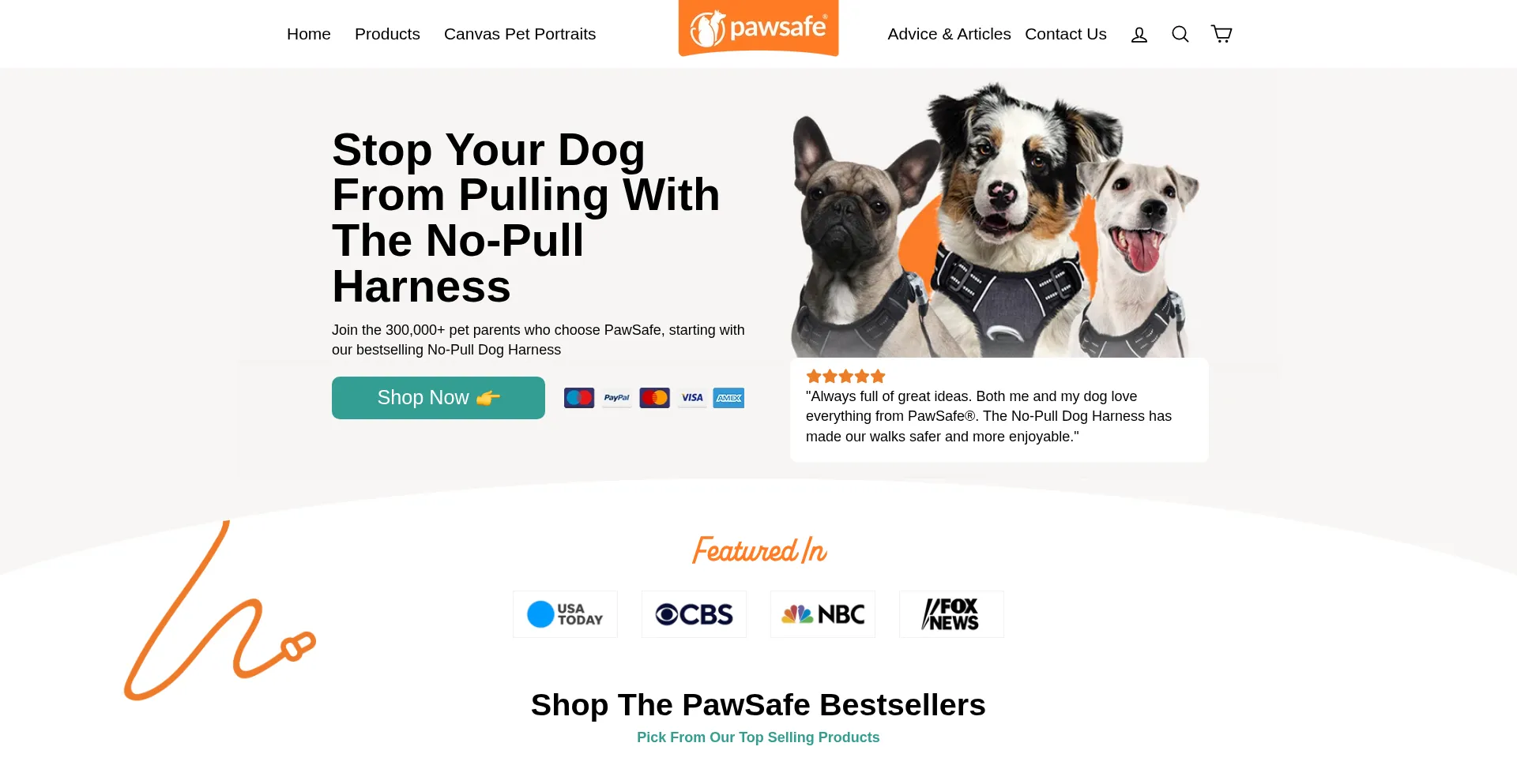Pawsafe.com