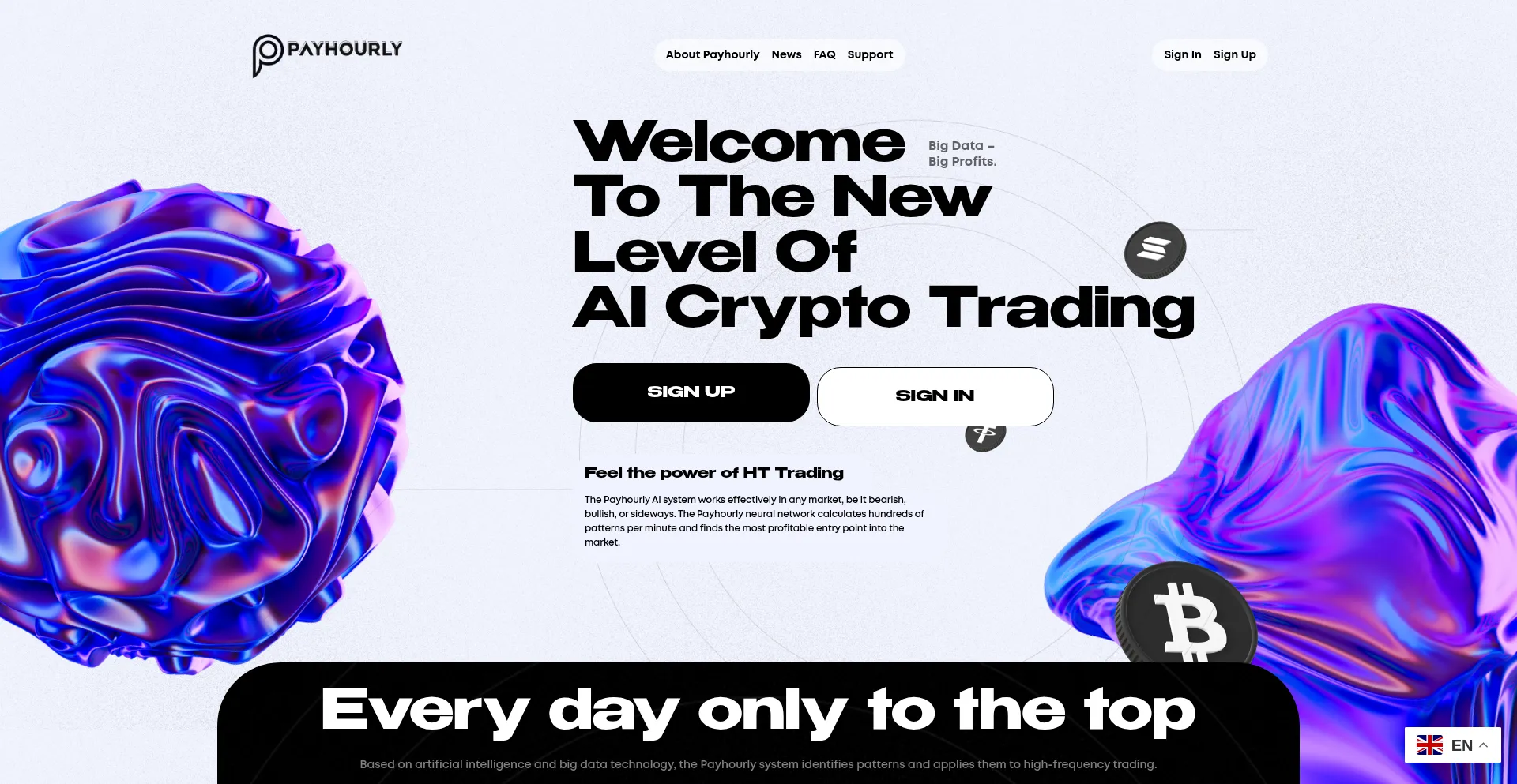 Website screenshot of Payhourly.top