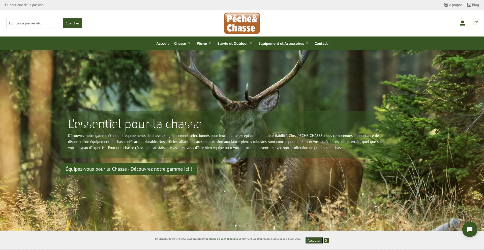 Website screenshot of Peche-chasse.fr