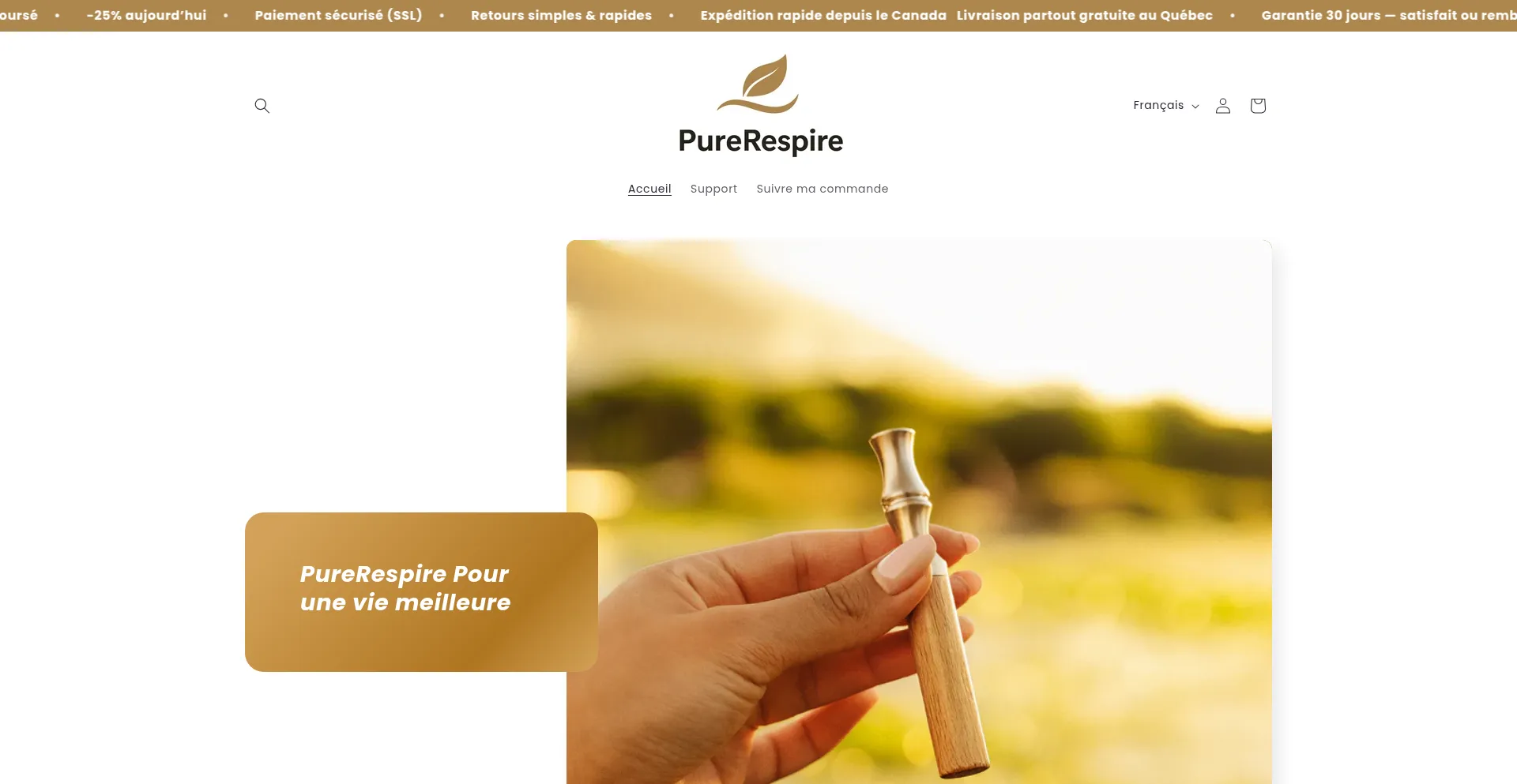 Perlebrush.ca é Seguro e Confiável?