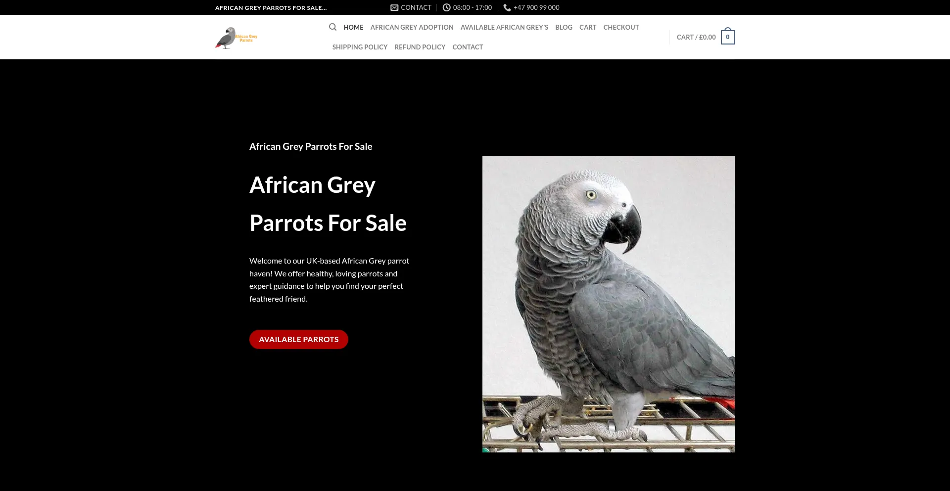 Website screenshot of Peterafricangreyparrot.co.uk
