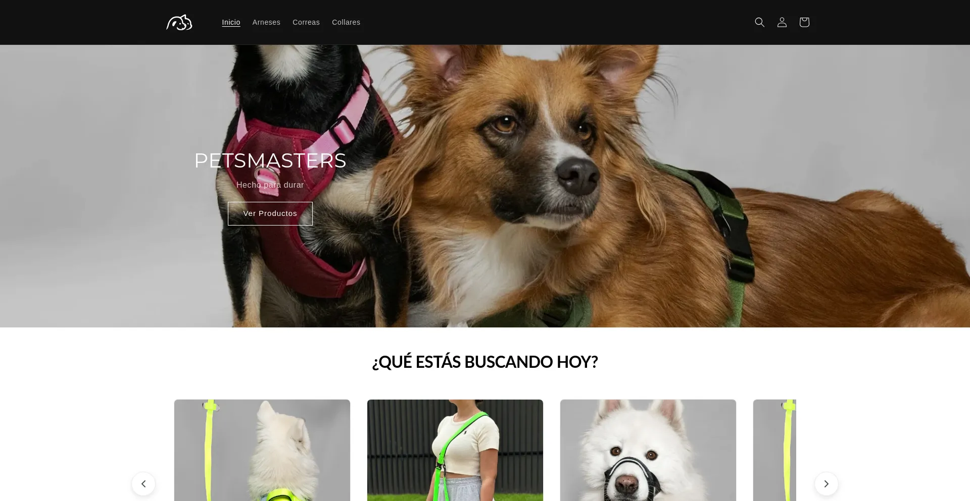 Website screenshot of Petsmasters.com.co