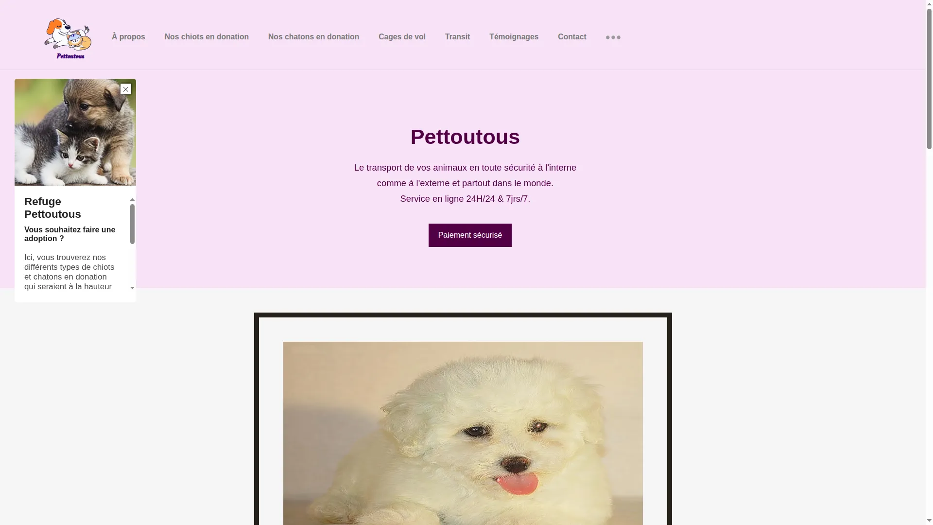 Pettoutous.vercel.app