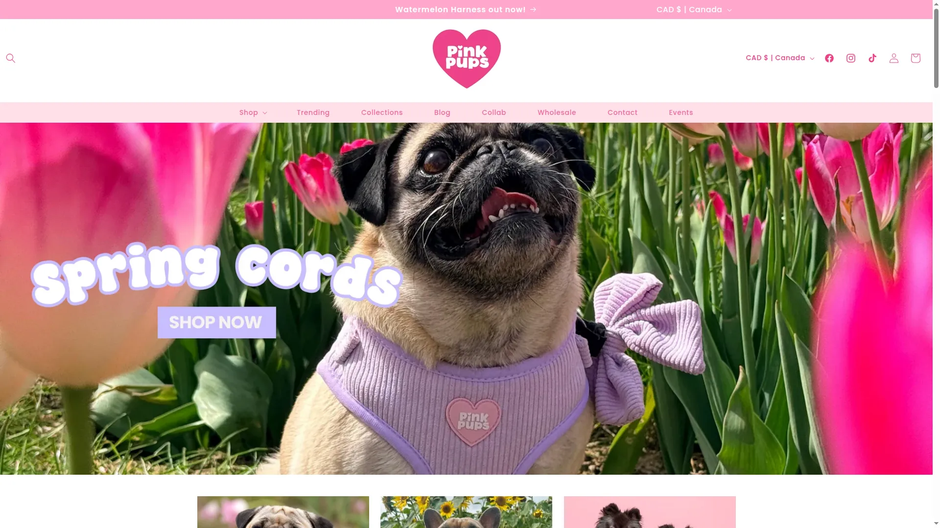 Pinkpups.com